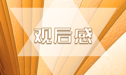 2024年榜样8心得体会范文